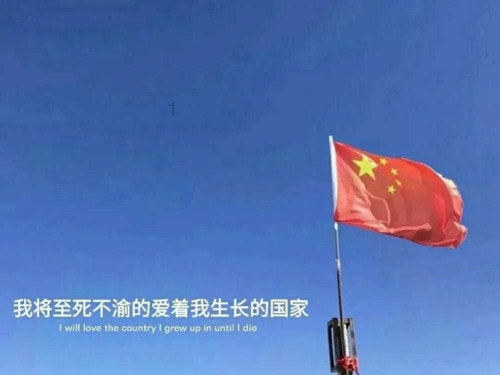 爱吃叶子的毛毛虫